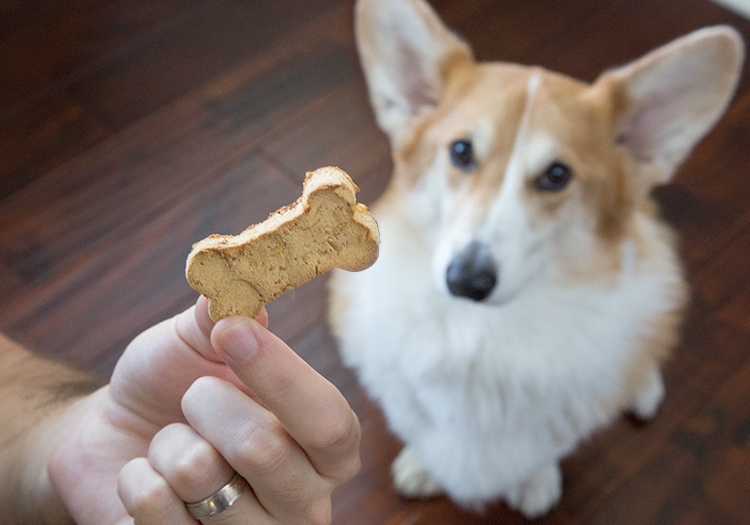 Mabinogi: Dog Treats